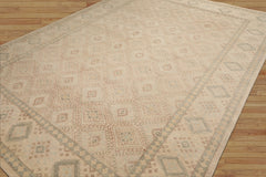 10x14 Beige Tan Sage Color Hand Knotted Geometric Wool Transitional Oriental Rug