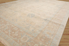 10x14 Beige Tan Aqua Color Hand Knotted Wool Traditional Oriental Rug