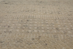 3x5 Ivory, Gray, Color Hand Woven Tribal Wool Modern Oriental Rug