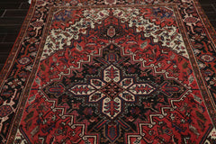 6x9 Rust, Ivory, Charcoal Color Hand Knotted All-Over 100% Wool Traditional Oriental Rug