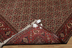 8x10 Ivory, Rose, Black Color Hand Knotted All-Over 100% Wool Traditional Oriental Rug