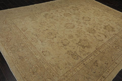 9x12 Warm Beige, Tan, Brown Color Hand Knotted All-Over 100% Wool Traditional Oriental Rug