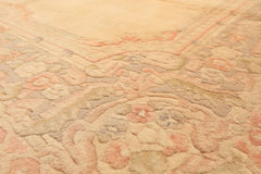 6x9 Tan, Blush, Taupe Color Hand Knotted Indo Kerman Wool Traditional Oriental Rug