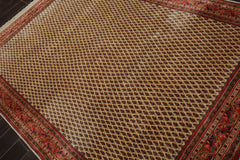 6x8 Ivory, Orange, Navy Color Hand Knotted Seraband New Zealand Wool Traditional Oriental Rug