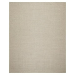 3x5 Tan Moss Color Hand Woven Textured Sisal Modern Oriental Rug