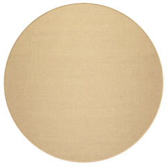 Multi Size Sisal Color Hand Loomed Wool Contemporary Oriental Rug