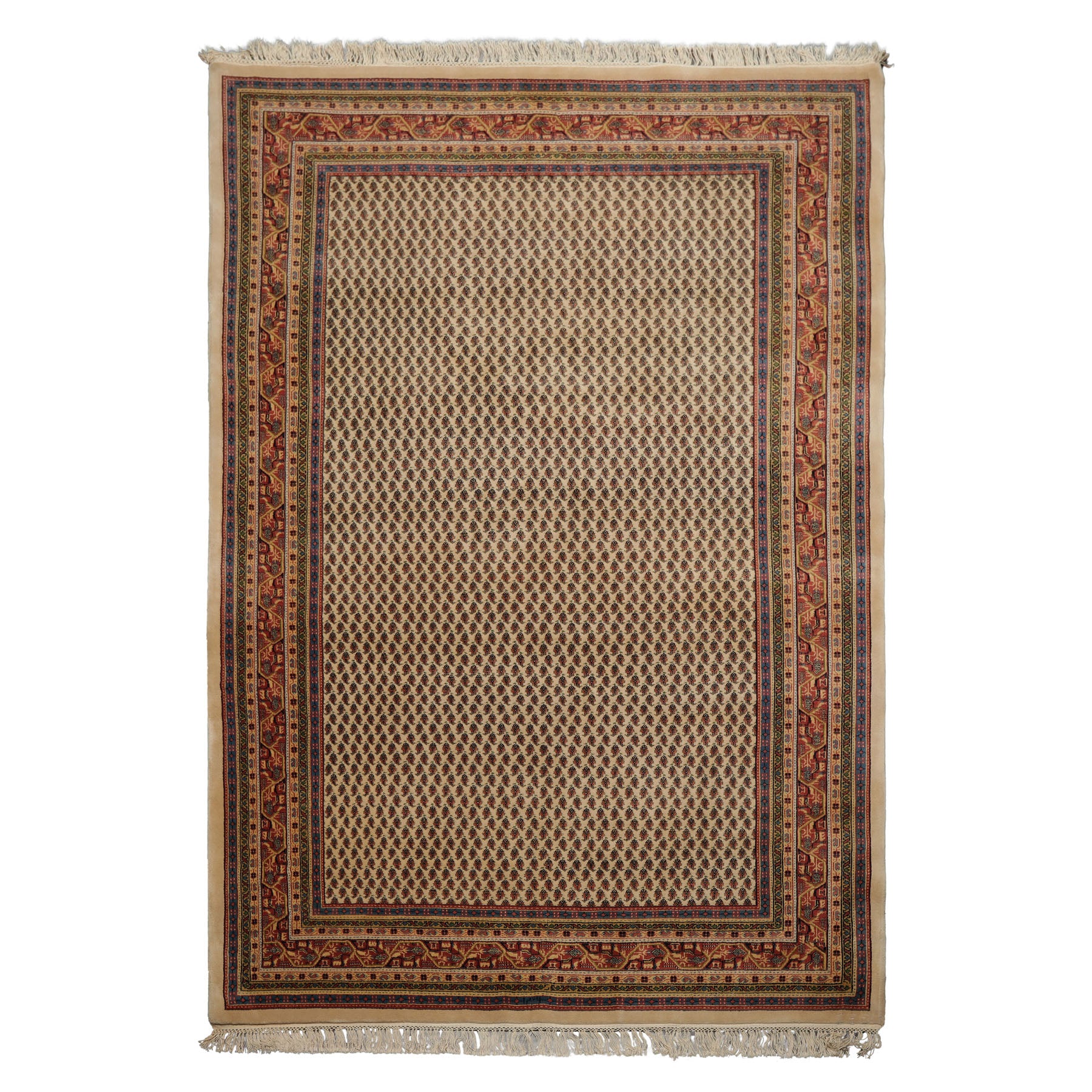 6x9 Ivory, Raspberry, Blue Color Hand Knotted Paisley New Zealand Wool Traditional Oriental Rug