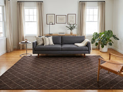 10x14 Brown, Aqua, Color Hand Knotted Tibetan Wool Southwestern Oriental Rug