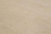 Runner Beige, Tone on tone, Color Hand Knotted All-Over 100% Wool Modern Oriental Rug