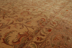 9x12 Tan Taupe Aqua Color Hand Knotted Persian 100% Wool Traditional Oriental Rug