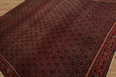 10x14 Hand Knotted Persian 100% Wool Antique Traditional Oriental Area Rug Black, Orange Color