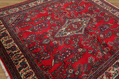 6x9 Hand Knotted 100% Wool Designer Traditional Oriental Area Rug Red, Ivory Color