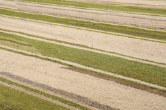 LoomBloom 5x8 Beige Handcrafted Striped Wool Oriental Rug