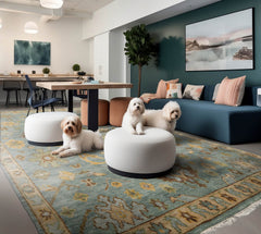 Multi Size Aqua, Brown, Gray Color Hand Knotted All-Over 100% Wool Traditional Oriental Rug