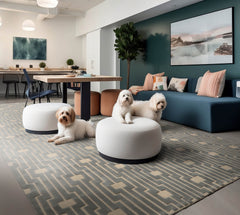 8x10 Hand Knotted Tibetan 100% Wool Tibetan Traditional Oriental Area Rug Ivory Color