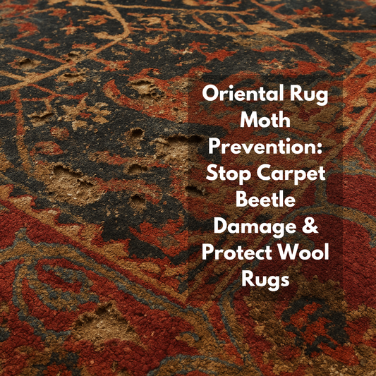 Oriental Rug Moth Prevention: Stop Carpet Beetle Damage & Protect Wool Rugs