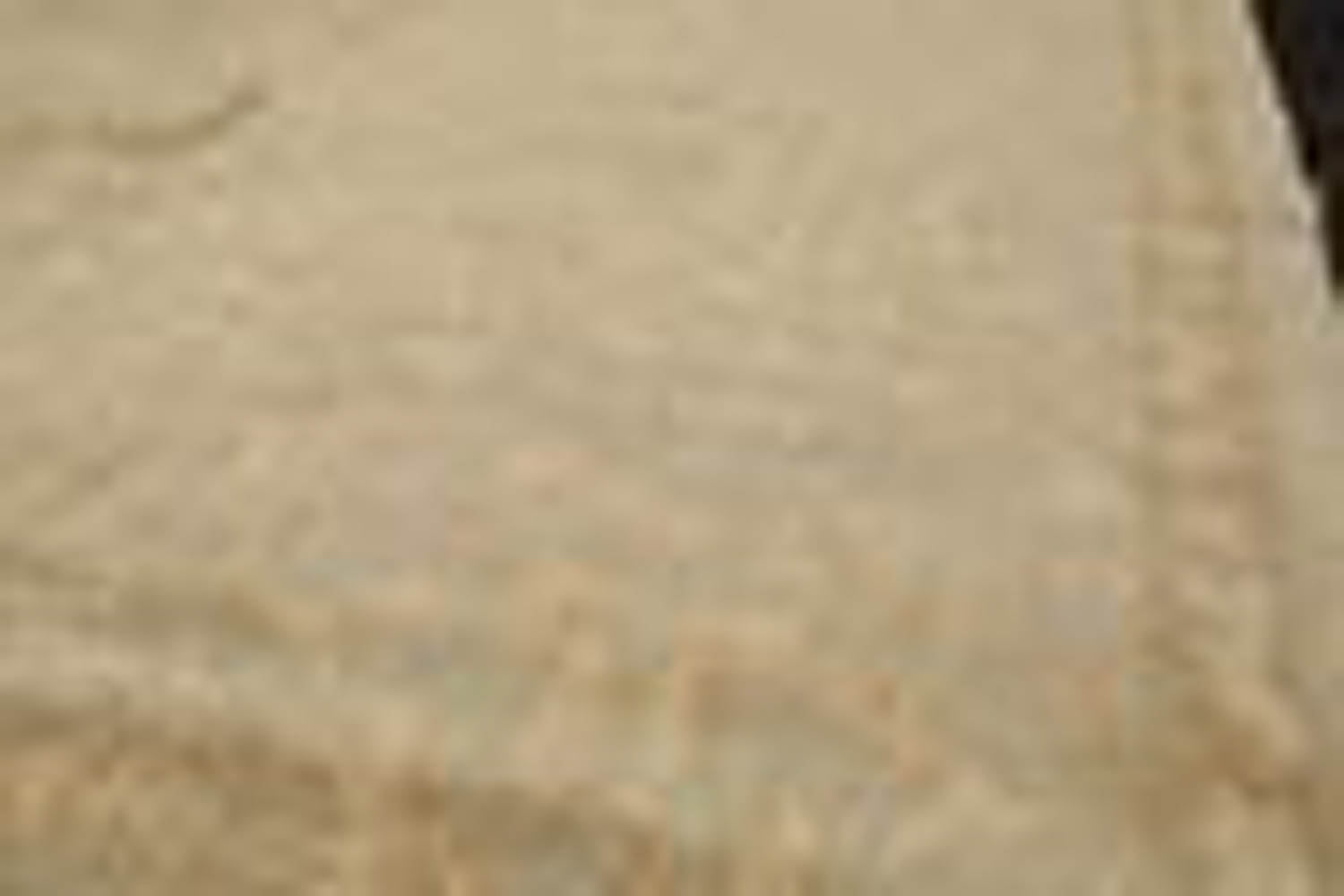 9x12 Gold, Beige, Tan Color Hand Knotted Tibetan 100% Wool Contemporary Oriental Rug