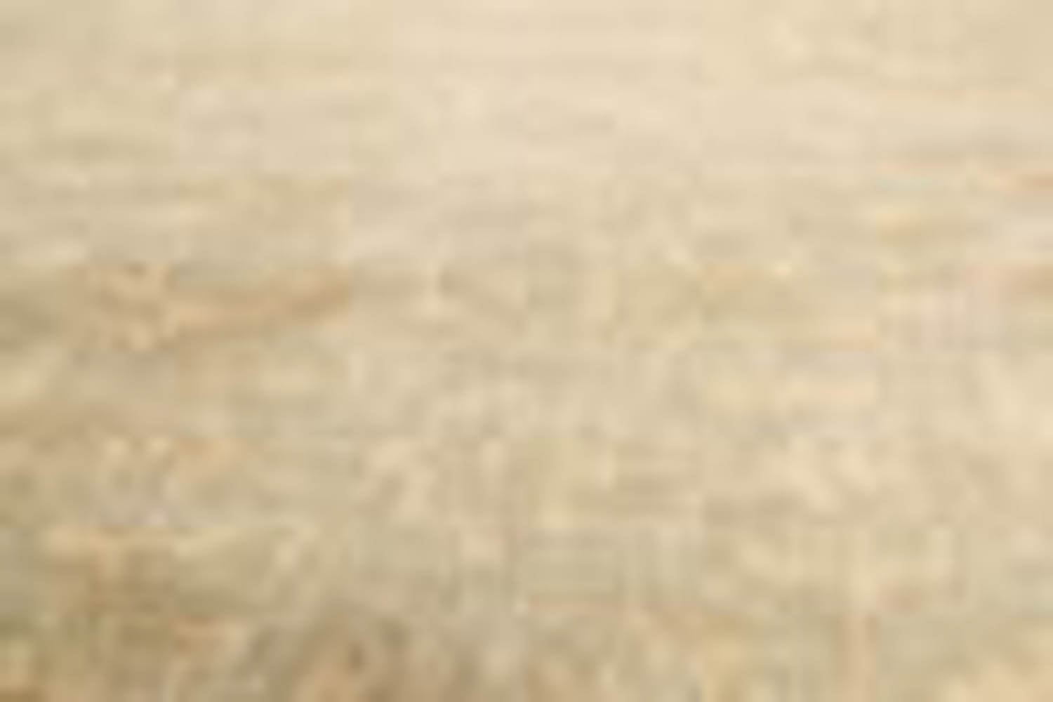 9x12 Gold, Beige, Tan Color Hand Knotted Tibetan 100% Wool Contemporary Oriental Rug