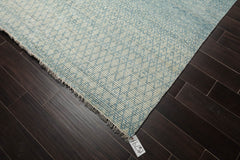 9x12 Aqua, Beige, Color Hand Knotted Grass 100% Wool Modern Oriental Rug