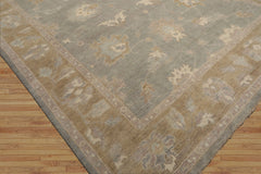 10x14 Gray Pistachio Ivory Color Hand Knotted  Wool Traditional Oriental Rug