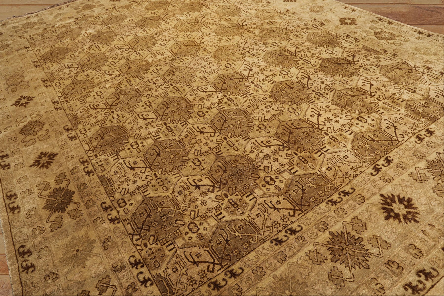9x12 Light Gold, Tan, Brown Color Hand Knotted Agra Wool Transitional Oriental Rug