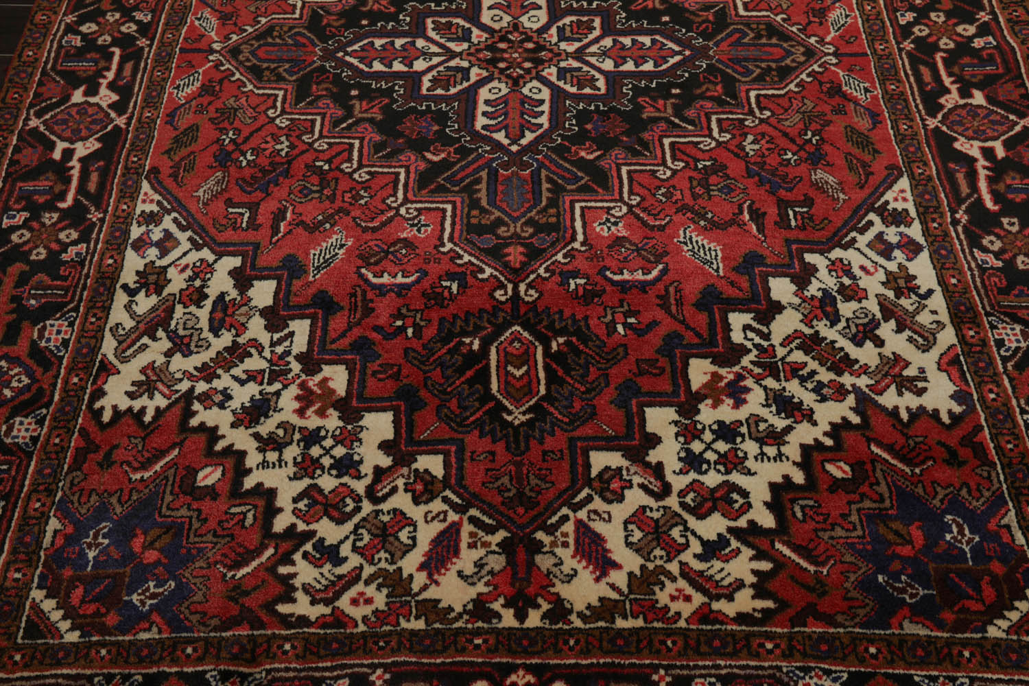 6x9 Rust, Ivory, Charcoal Color Hand Knotted All-Over 100% Wool Traditional Oriental Rug