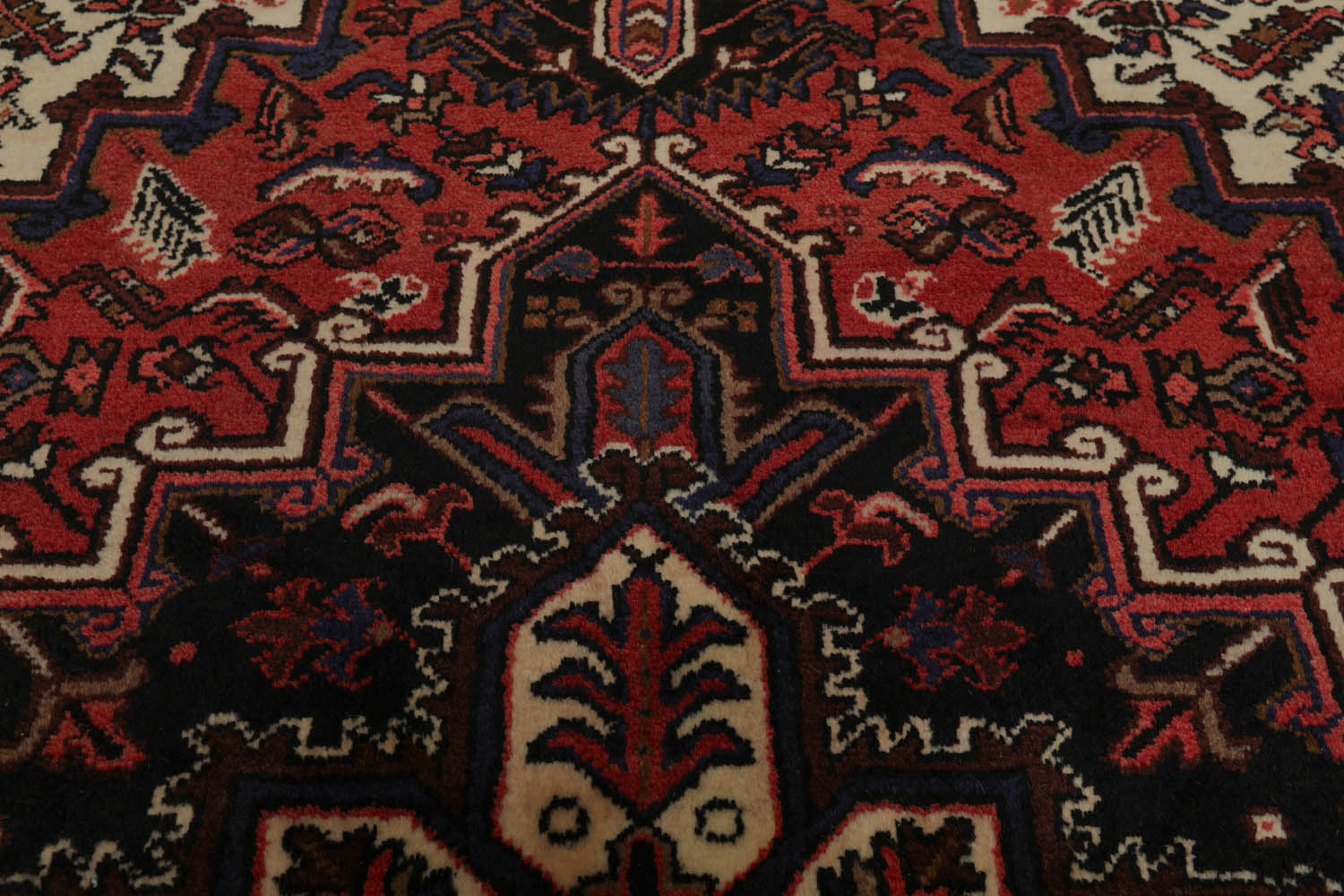 6x9 Rust, Ivory, Charcoal Color Hand Knotted All-Over 100% Wool Traditional Oriental Rug