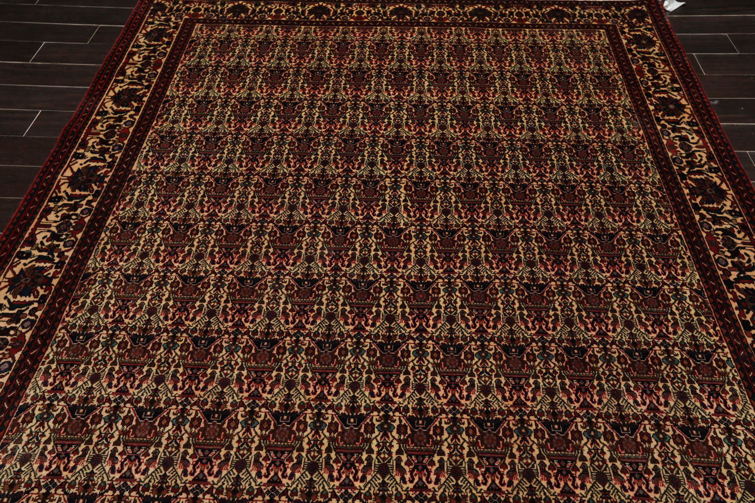6x9 Ivory, Rust, Turquoise Color Hand Knotted All-Over 100% Wool Traditional Oriental Rug