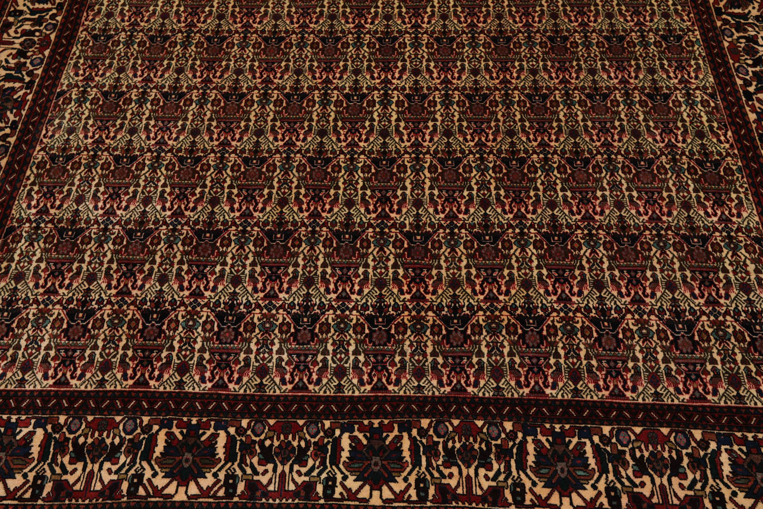 6x9 Ivory, Rust, Turquoise Color Hand Knotted All-Over 100% Wool Traditional Oriental Rug