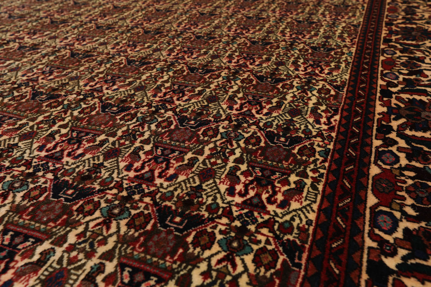 6x9 Ivory, Rust, Turquoise Color Hand Knotted All-Over 100% Wool Traditional Oriental Rug