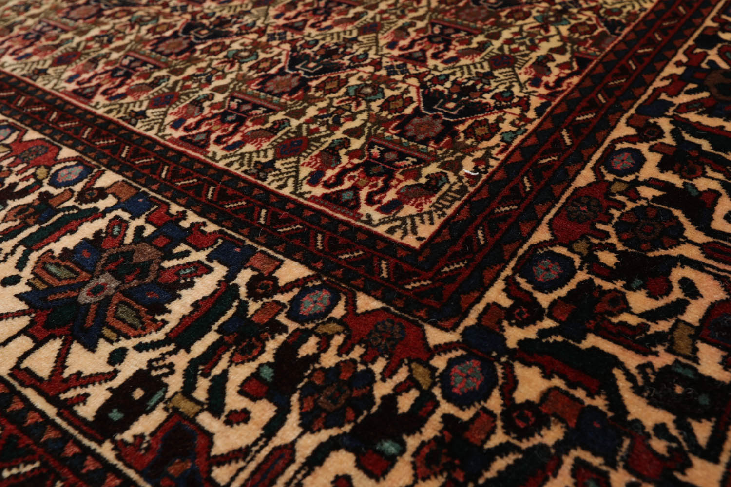 6x9 Ivory, Rust, Turquoise Color Hand Knotted All-Over 100% Wool Traditional Oriental Rug