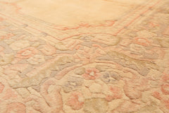 6x9 Tan, Blush, Taupe Color Hand Knotted Indo Kerman Wool Traditional Oriental Rug