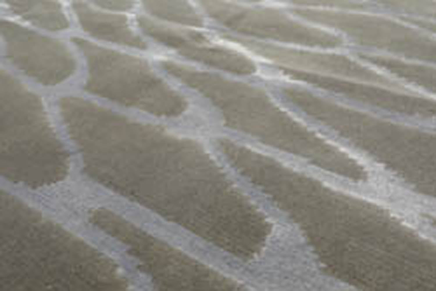 8x10 Tone on Tone Gray, , Color Hand Knotted All-Over 100% Wool Modern Oriental Rug