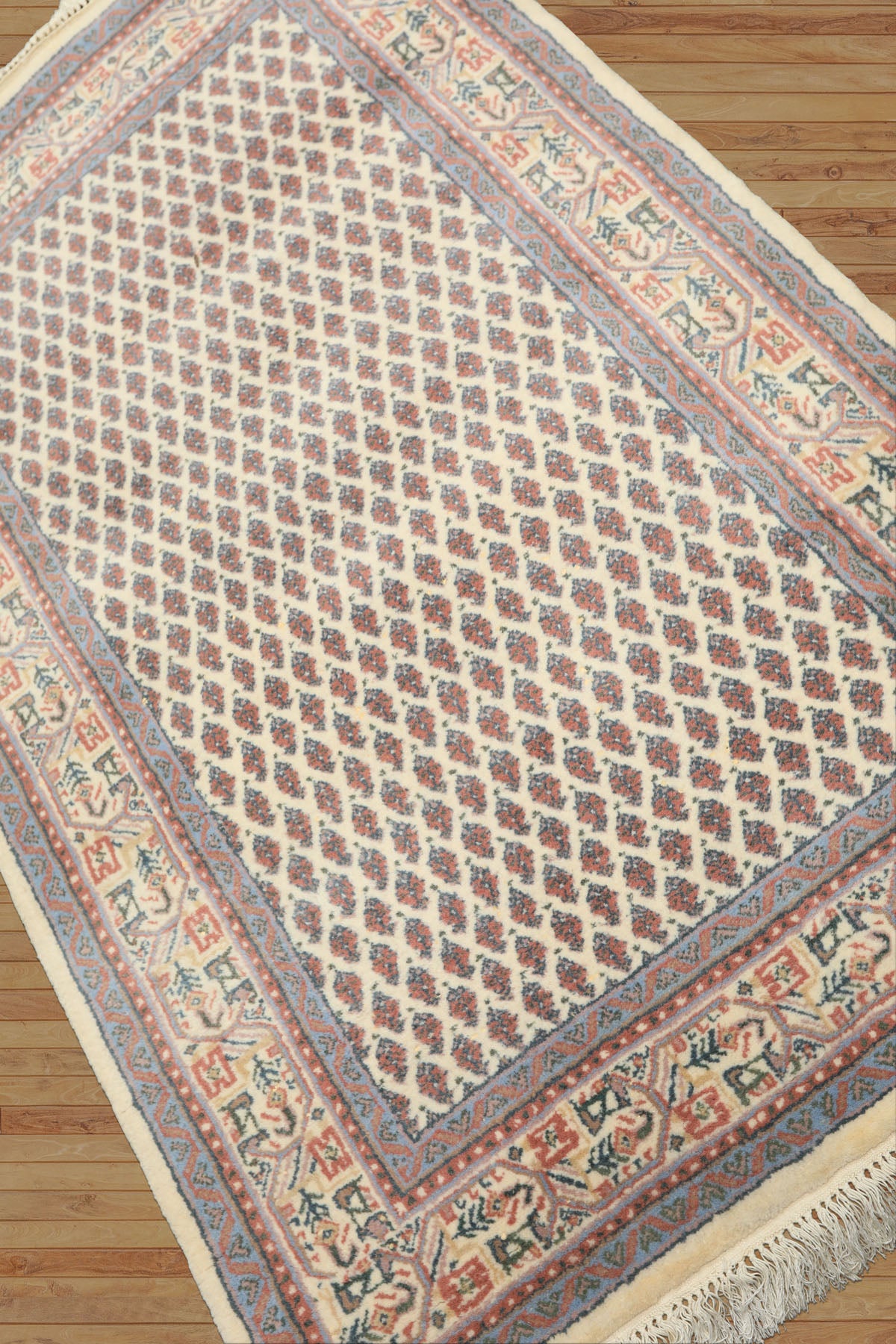 3x5 Ivory, Rose, Blue Color Hand Knotted Boteh Wool Traditional Oriental Rug
