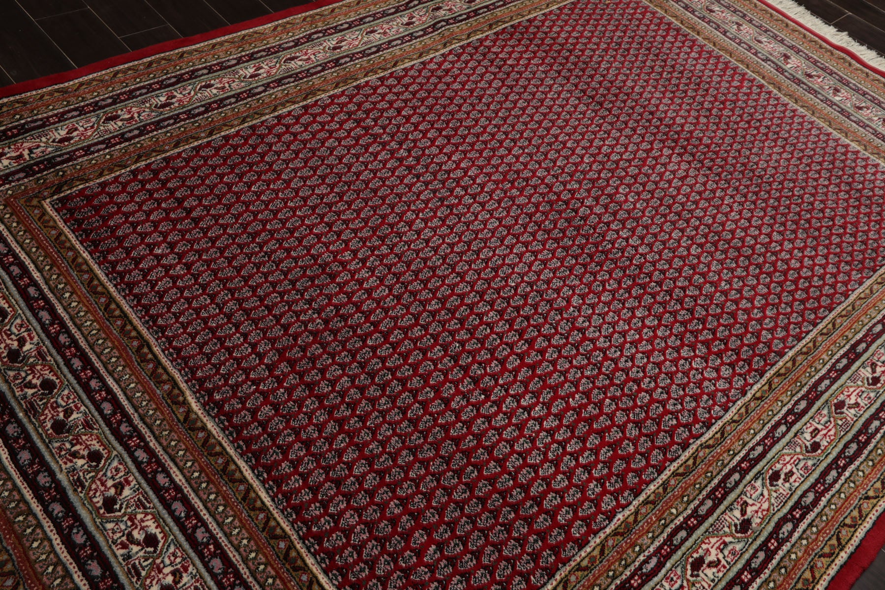 6x9 Red, Ivory, Aqua Color Hand Knotted Boteh Wool Traditional Oriental Rug