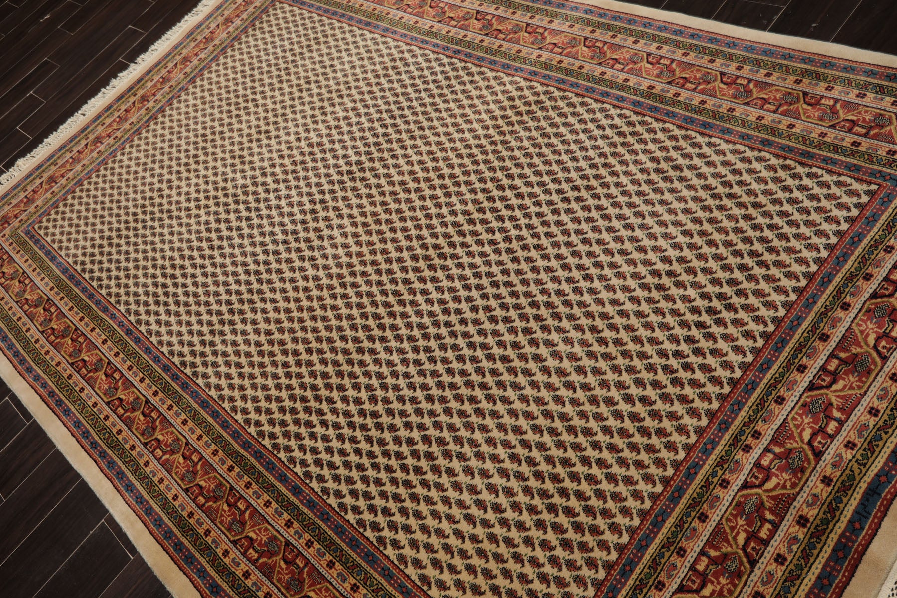 6x9 Ivory, Raspberry, Blue Color Hand Knotted Paisley New Zealand Wool Traditional Oriental Rug