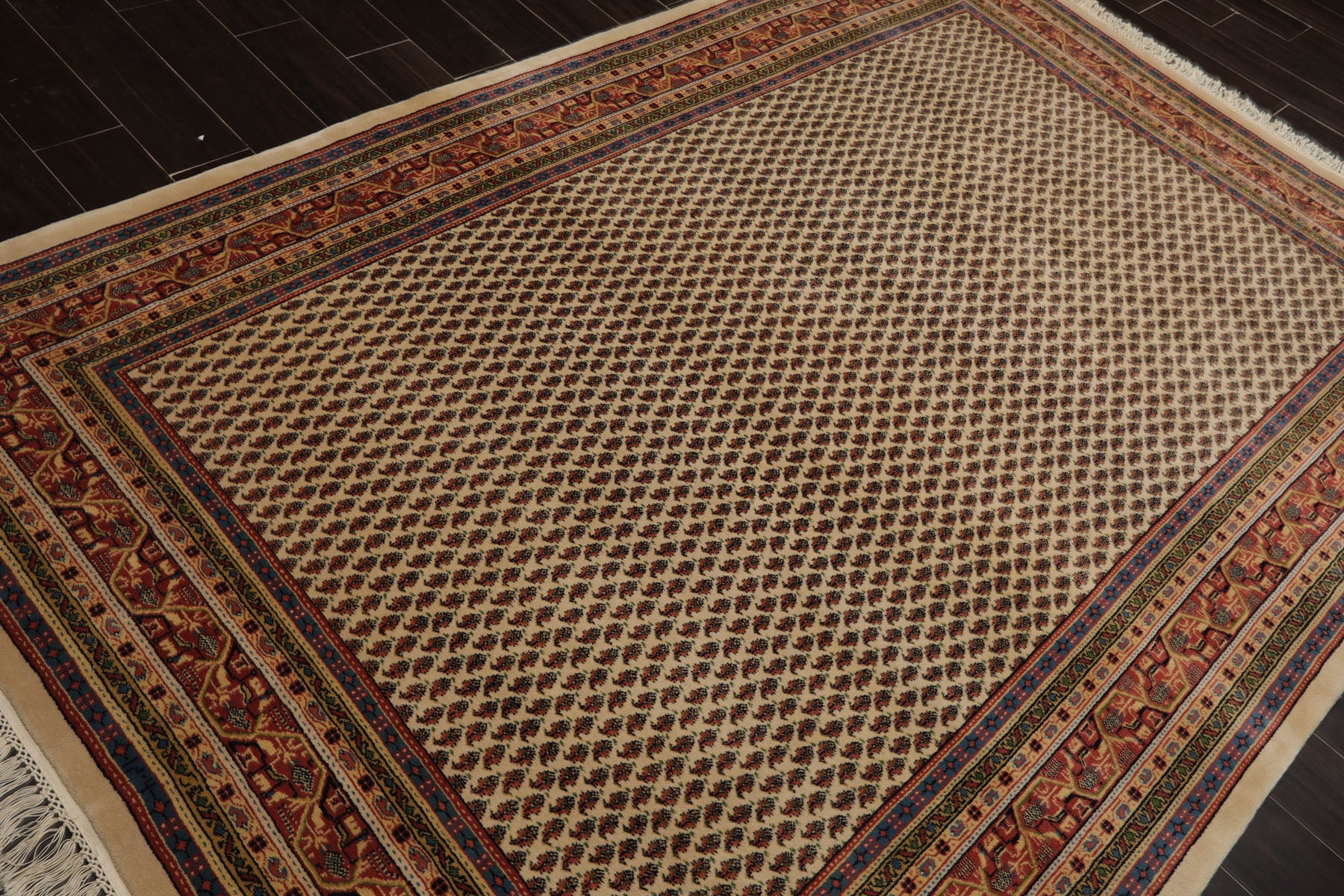 6x9 Ivory, Raspberry, Blue Color Hand Knotted Paisley New Zealand Wool Traditional Oriental Rug