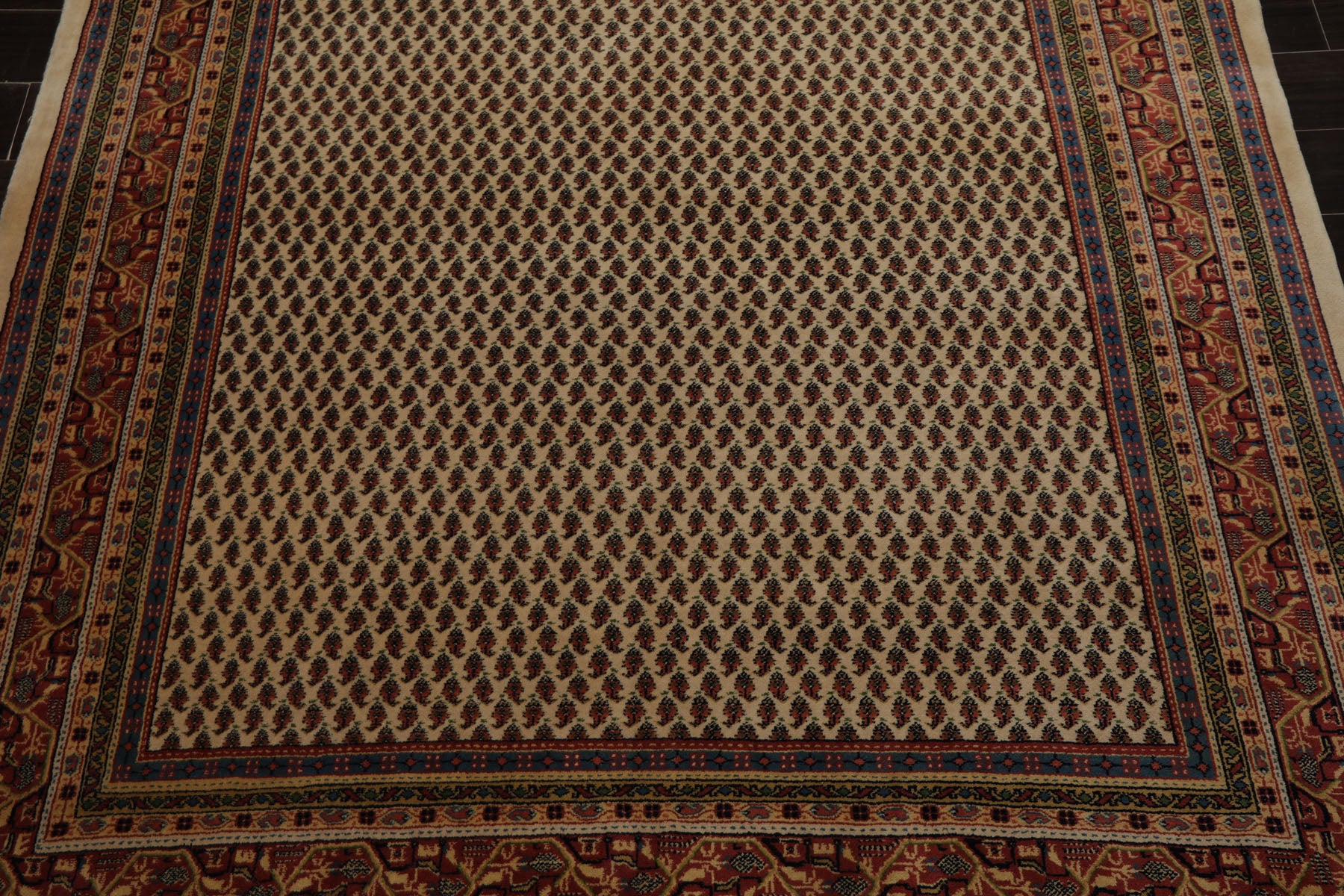 6x9 Ivory, Raspberry, Blue Color Hand Knotted Paisley New Zealand Wool Traditional Oriental Rug