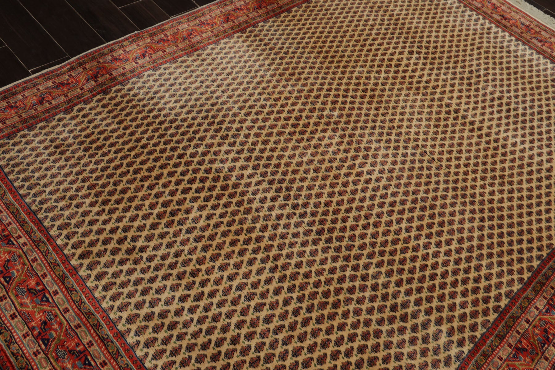 6x8 Ivory, Orange, Navy Color Hand Knotted Seraband New Zealand Wool Traditional Oriental Rug