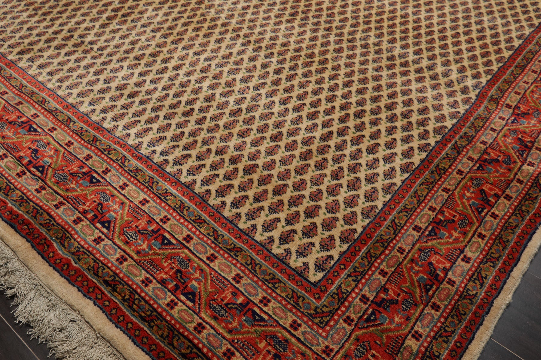 6x8 Ivory, Orange, Navy Color Hand Knotted Seraband New Zealand Wool Traditional Oriental Rug
