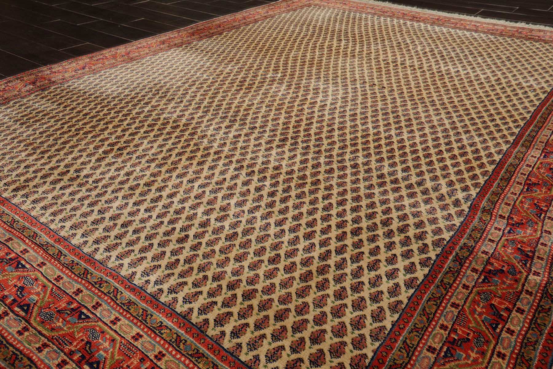 6x8 Ivory, Orange, Navy Color Hand Knotted Seraband New Zealand Wool Traditional Oriental Rug