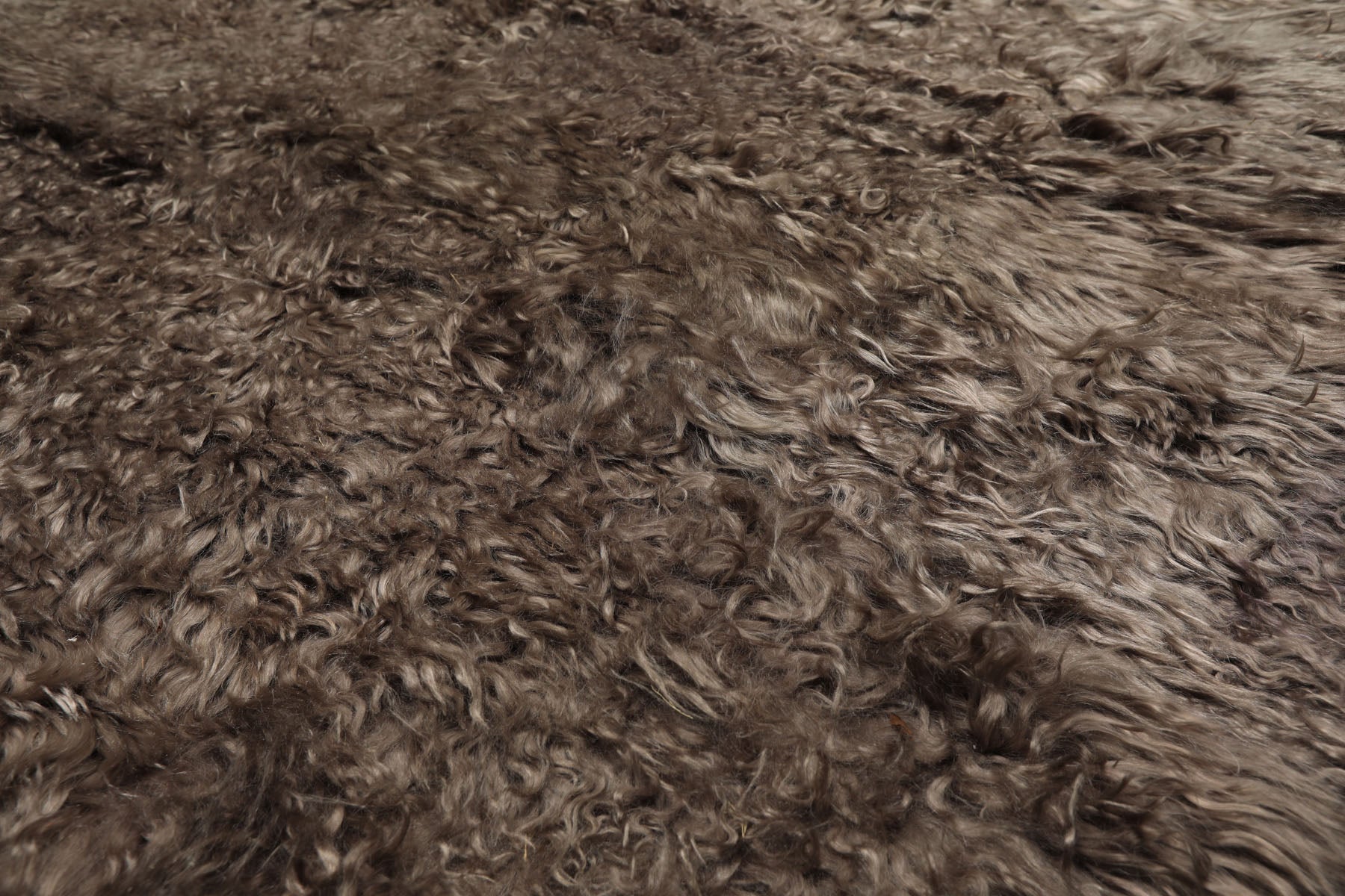 Square Brown, , Color Machine Made Shag Polyster Contemporary Oriental Rug