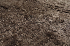 Square Brown, , Color Machine Made Shag Polyster Contemporary Oriental Rug