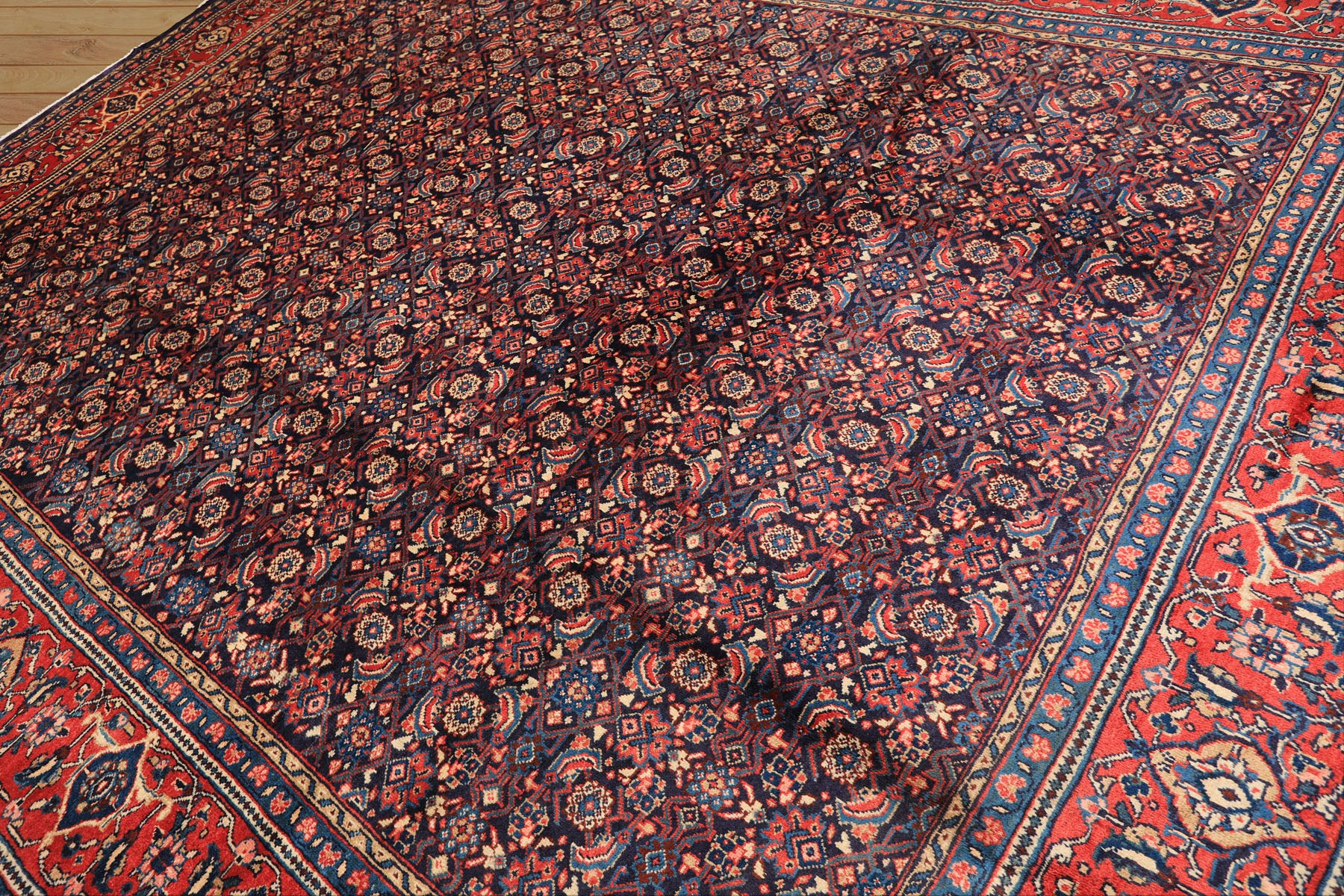 10x14 Navy, Coral, Blue Color Hand Knotted Bidjar Wool Traditional Oriental Rug