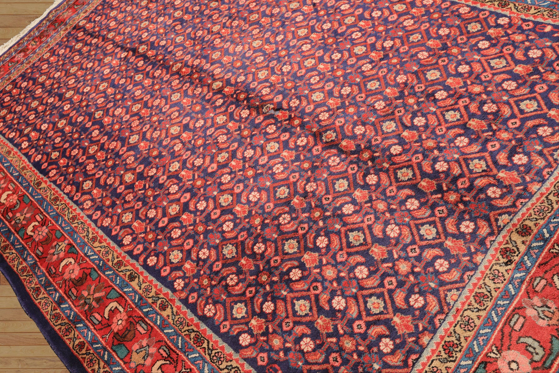 7x11 Royal Blue, Coral, Blush Color Hand Knotted Mahal Sarouk Wool Traditional Oriental Rug