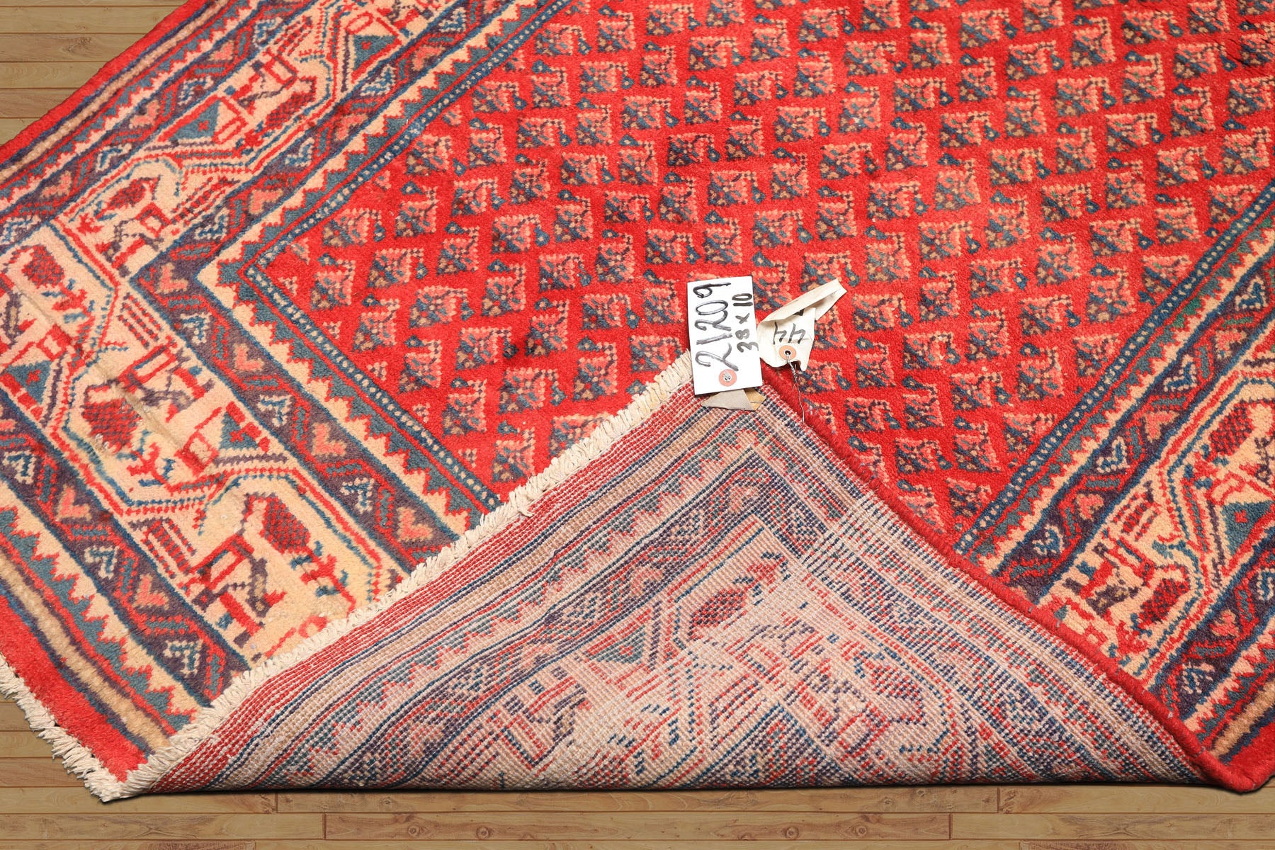 Runner Coral, Ivory, Aqua Color Hand Knotted Kurdish Bidjar Herati Wool Traditional Oriental Rug