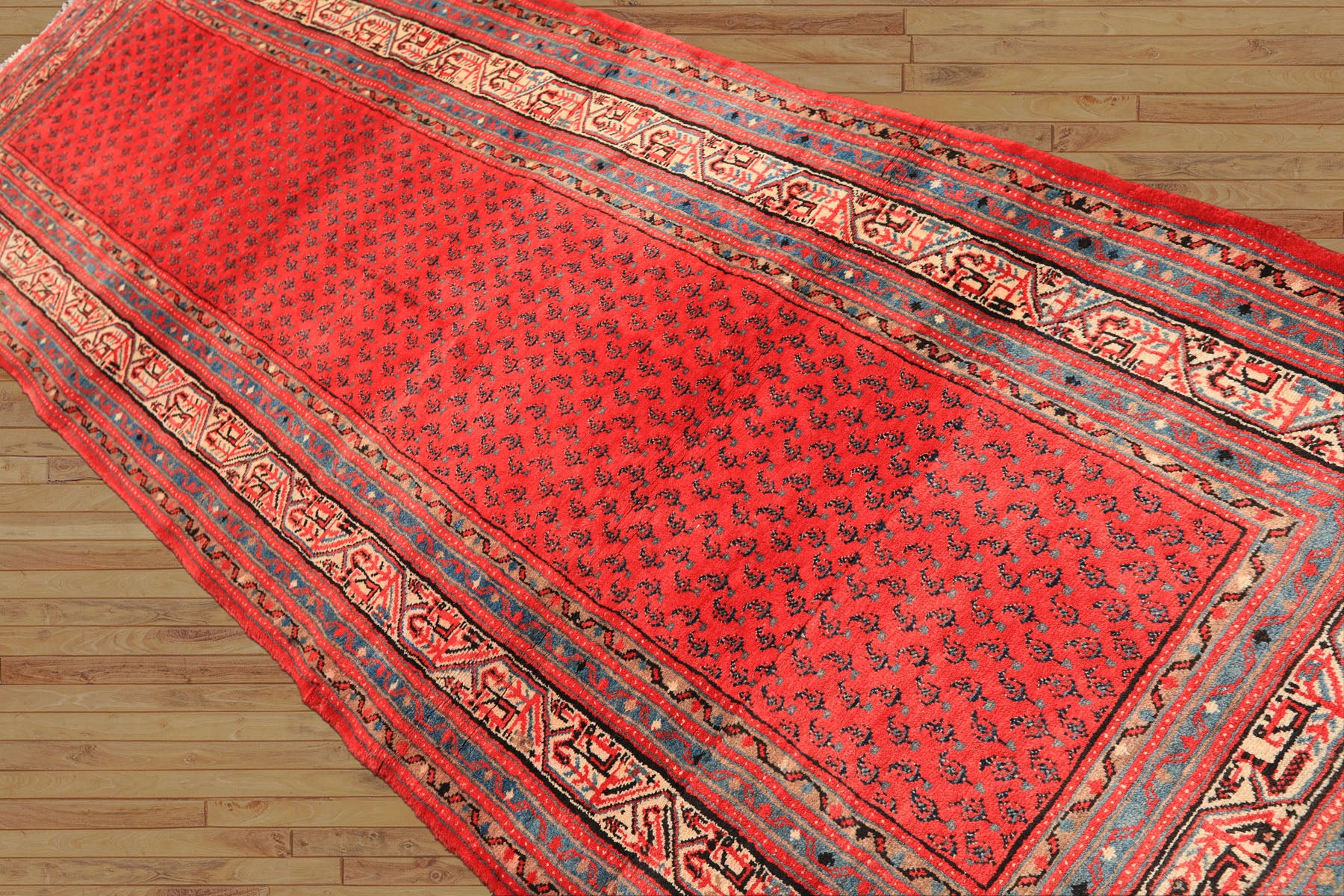 Runner Coral, Ivory, Aqua Color Hand Knotted Kurdish Bidjar Herati Wool Traditional Oriental Rug
