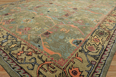 Multi Size Sage Pistachio Blush Color Hand Tufted  Wool Traditional Oriental Rug