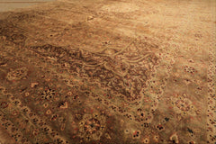 Palace Tan, Sage, Brown Color Hand Knotted Indo Persian Wool Transitional Oriental Rug