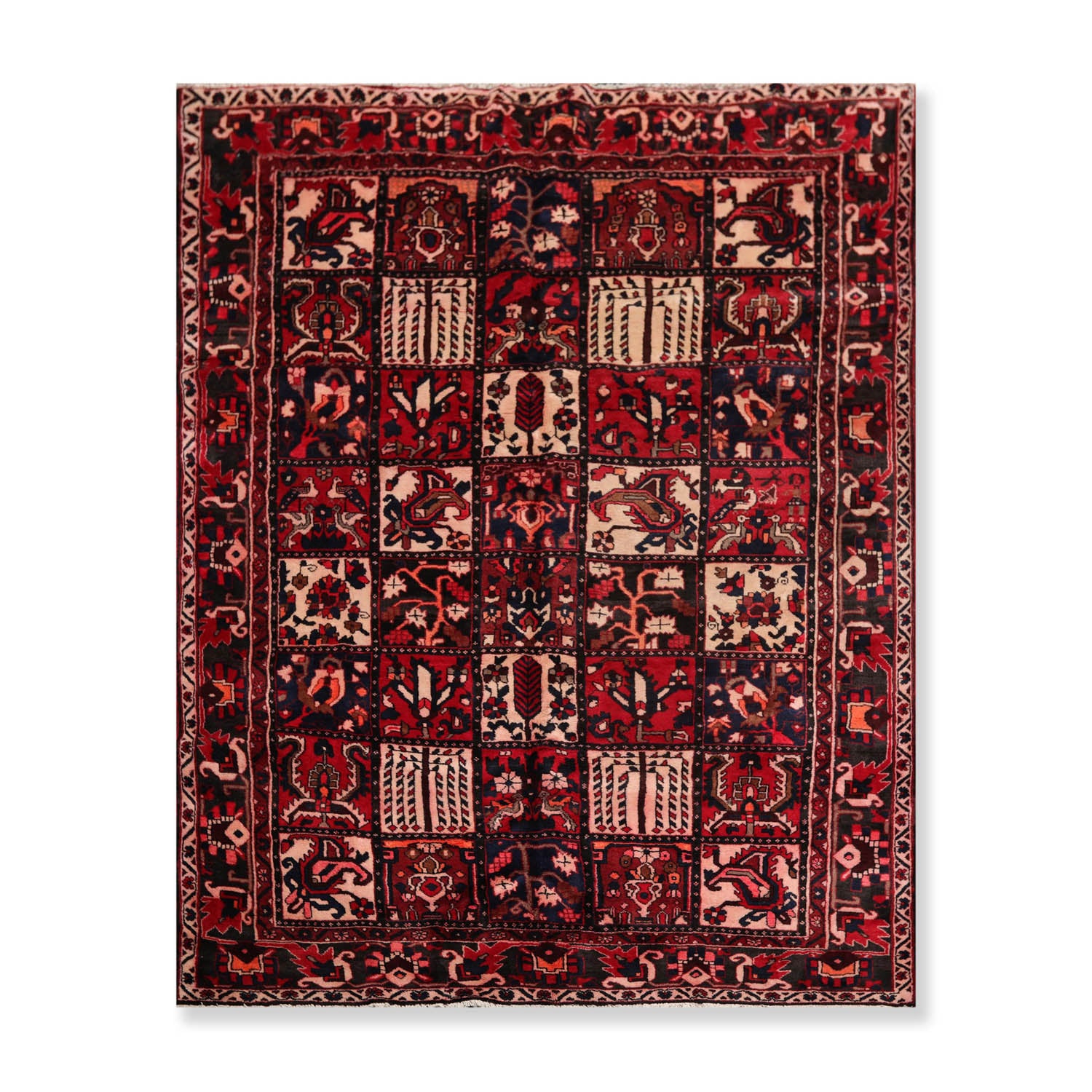 6x9 Red, Blue, Beige Color Hand Knotted Floral 100% Wool Traditional-Persian/Oriental Oriental Rug